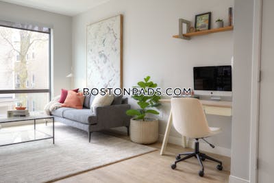 Dorchester 1 bedroom  Luxury in BOSTON Boston - $3,035