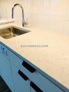 Seaport/waterfront 3 Beds 2 Baths Boston - $9,176 No Fee