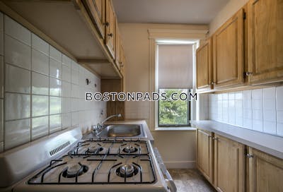 Allston Apartment for rent Studio 1 Bath Boston - $2,350