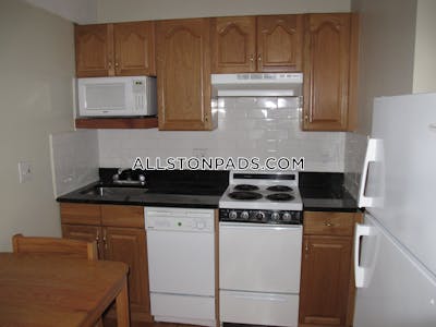Allston Apartment for rent Studio 1 Bath Boston - $2,200 No Fee