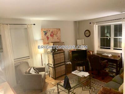 Brighton Apartment for rent 1 Bedroom 1 Bath Boston - $2,200 No Fee