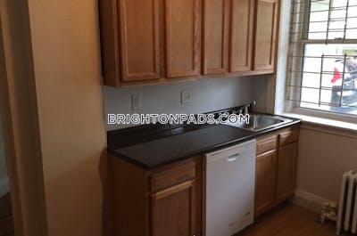 Brighton Apartment for rent 1 Bedroom 1 Bath Boston - $2,295 No Fee
