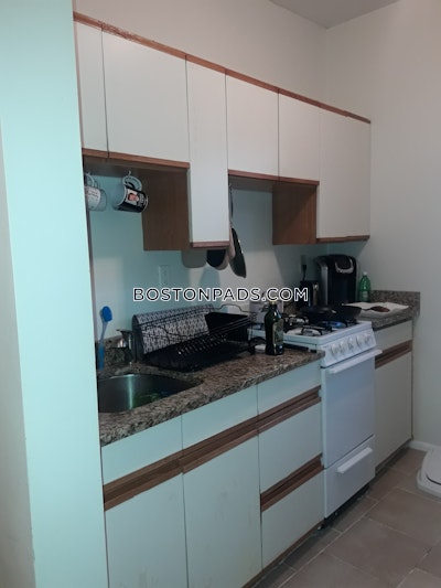 Allston/brighton Border Apartment for rent 1 Bedroom 1 Bath Boston - $2,250 No Fee
