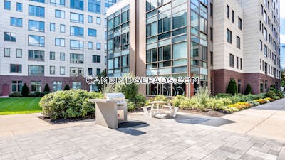 Cambridge Apartment for rent 2 Bedrooms 2 Baths  Kendall Square - $4,138 No Fee