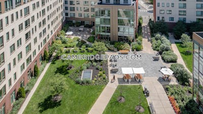 Cambridge Apartment for rent Studio 1 Bath  Kendall Square - $2,961 No Fee
