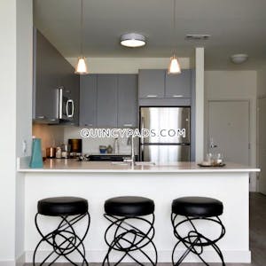 Quincy Apartment for rent 2 Bedrooms 2 Baths  Quincy Center - $3,293 No Fee